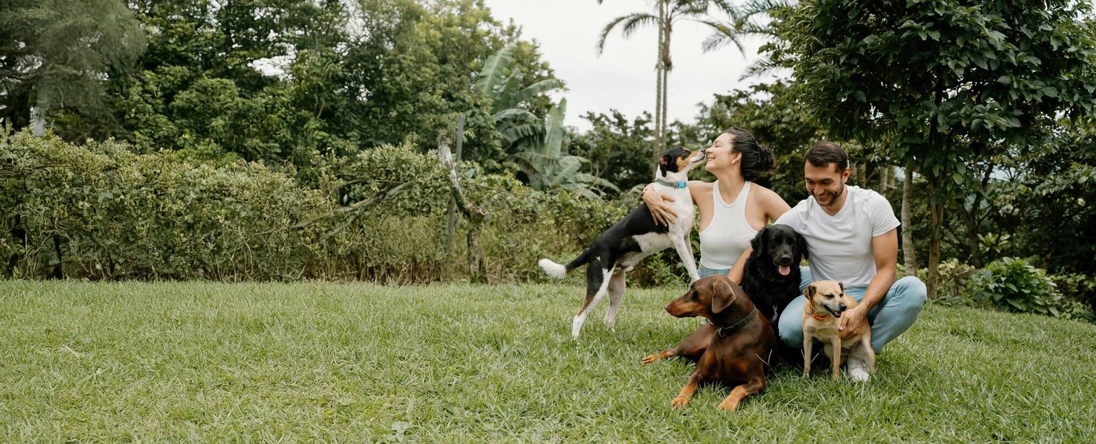 Familia con sus mascotas